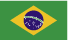 Portuguese (Brazil)